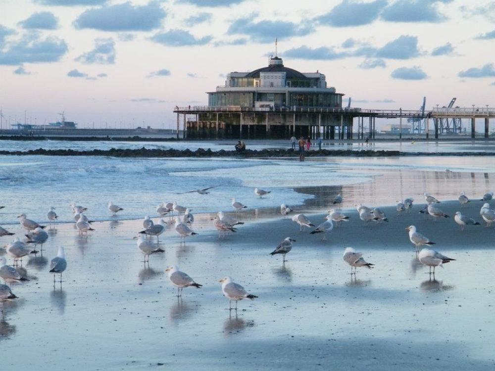 Seaside Blankenberge Hotel Ngoại thất bức ảnh